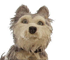 Over There Look Sticker by Searchlight Pictures