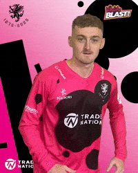 Celebration GIF by Somerset County Cricket Club