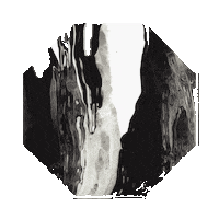 3D Moving Sticker by Element Talks