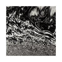 3D Moving Sticker by Element Talks