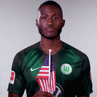 Waving France GIF by VfL Wolfsburg