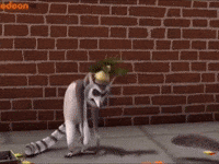 Drama Queen GIF