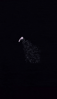 Kienreich wasser heizung installateur sanitär GIF