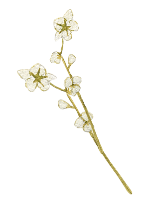 Swipe Up Last Day Sticker by Serena & Lily