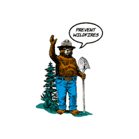 YCSL bear smokey 곰 곰돌이 Sticker