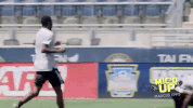 GIF by Philadelphia Union