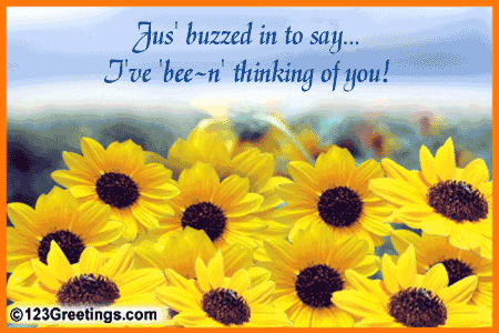 thinking sunflower GIF