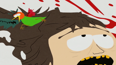 scared bird GIF by South Park 
