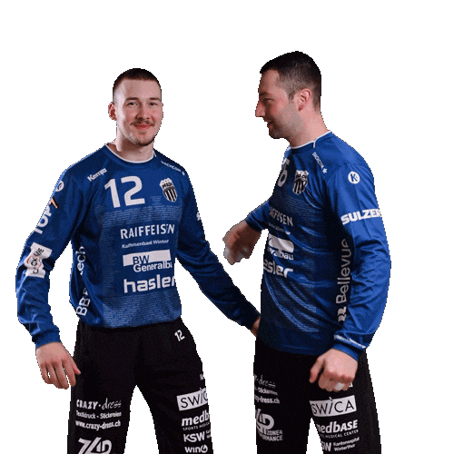 pfadiwinterthur giphyupload handballschweiz pfadiwinterthur gmeinsamfürpfadi Sticker