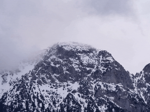 You Can Wow GIF by FranchiseONE.de