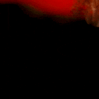 Coy Eakin GIF by Texas Tech Football