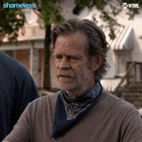 Season 11 Showtime GIF by Shameless