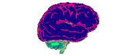 Brain Sticker by badblueprints