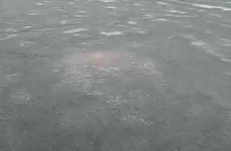 VicVik giphyupload GIF