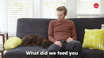 What Did We Feed You?