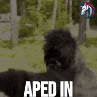 Crypto Bitcoin GIF by 1inch