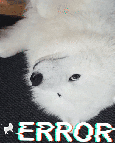 Error Storing GIF