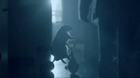 creepy GIF by Aftermath TV