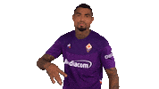Serie A Yolo Sticker by ACF Fiorentina