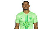 France Thumbs Up Sticker by VfL Wolfsburg