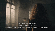 mark mea GIF by Global Records