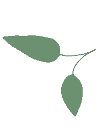 Leaf Sticker by Jungalow®