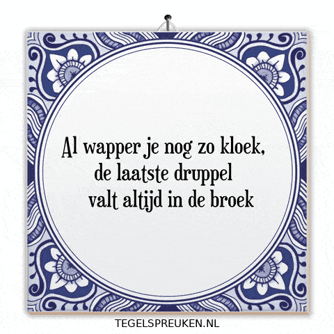 Humor Nl GIF by Tegelspreuken.nl