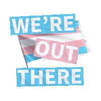 Queer Trans Sticker by Outbound Print Co