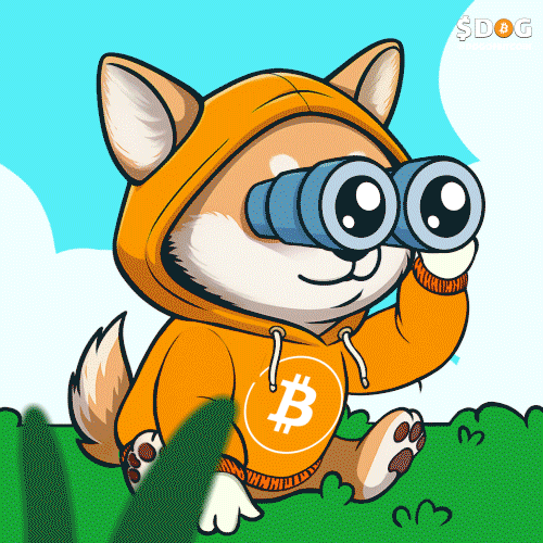 Dog At The Park GIF by $DOG