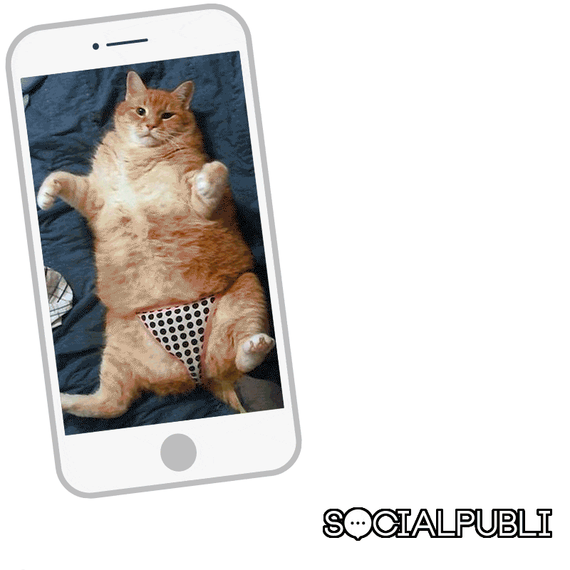 SocialPubli giphyupload cat like real Sticker