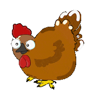 Chickens_gang chicken coco chickens brahma Sticker