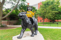 uwmilwaukee funny university mascot campus GIF