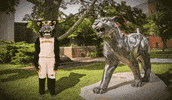 Campus Pounce GIF by UW-Milwaukee