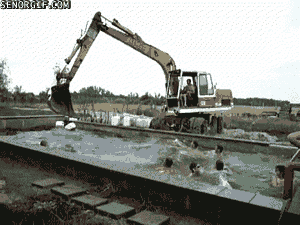 water pool GIF by Cheezburger