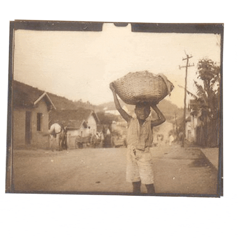 fredslopes giphyupload GIF