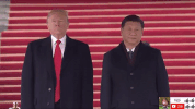 zheng zhi GIF