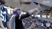 Minnesota Vikings Football GIF by NFL