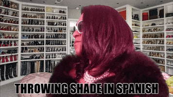 soraya montenegro shade GIF by Robert E Blackmon