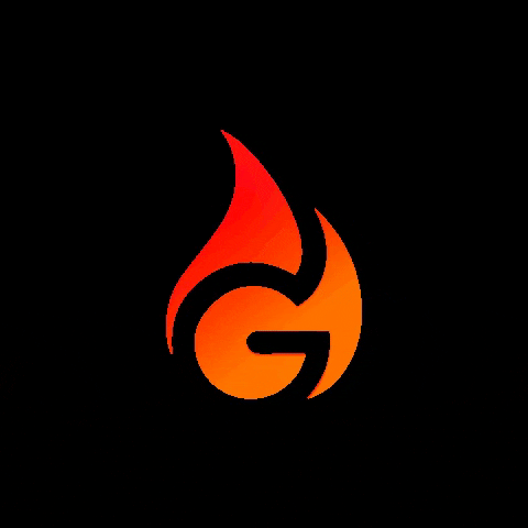 Feuerplatte GIF by Grillrost