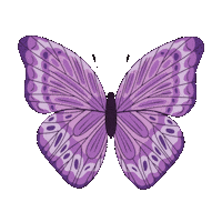 Fatima Santiago Sticker