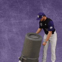 Baseball Wesleyan GIF by KWC Panthers