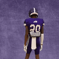 Football Wesleyan GIF by KWC Panthers
