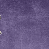 Football Wesleyan GIF by KWC Panthers