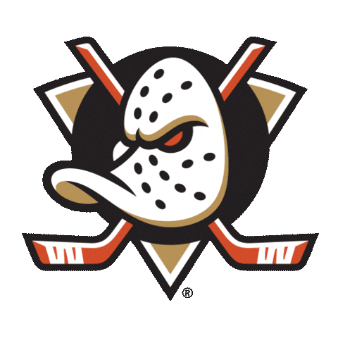 Happy Ice Hockey Sticker by NHL
