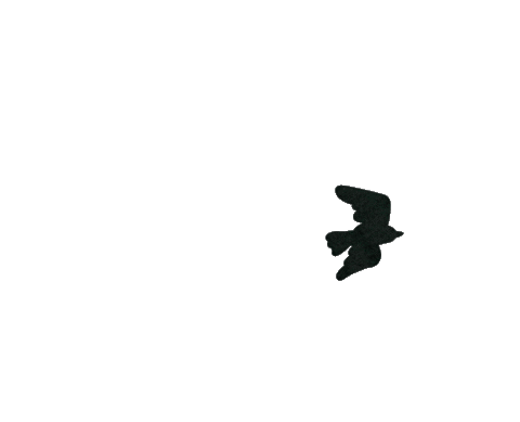studiowestdesignco giphyupload bird dove swdc Sticker