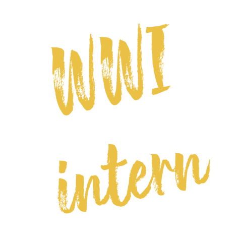 worldwide_internships alumni intern internship internships Sticker