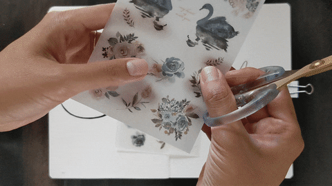 scriptandsea giphyupload GIF