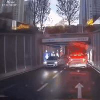 Road Block Pokemon GIF by Respective
