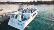 GIF by Dolphin Discovery