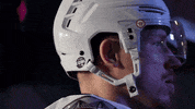 SCStingraysHockey snarl stingrays GIF